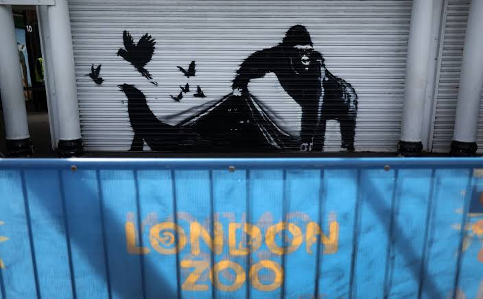 Banksy Artwork Removed from London Zoo Display